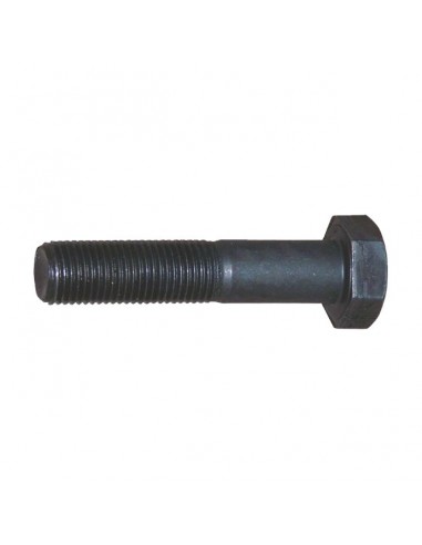 VIS POULIE MOTEUR TC/J/F ORIGINE GGP