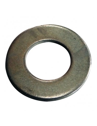 RONDELLE D'AXE GALVANISE ORIGINE GGP