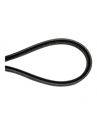 COURROIE BOITE VITESSE ORIGINE GGP