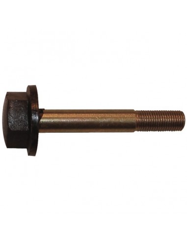 VIS DE LAME 81004353/1