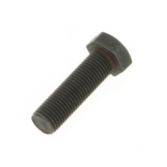 Vis de lame pas à gauche Ø 9,5 mm. Pour AYP 2