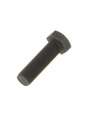 Vis de lame pas à gauche Ø 9,5 mm. Pour AYP