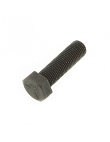 Vis de lame pas à gauche Ø 9,5 mm. Pour AYP