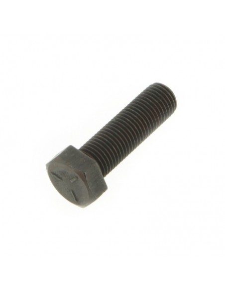 Vis de lame pas à gauche Ø 9,5 mm. Pour AYP