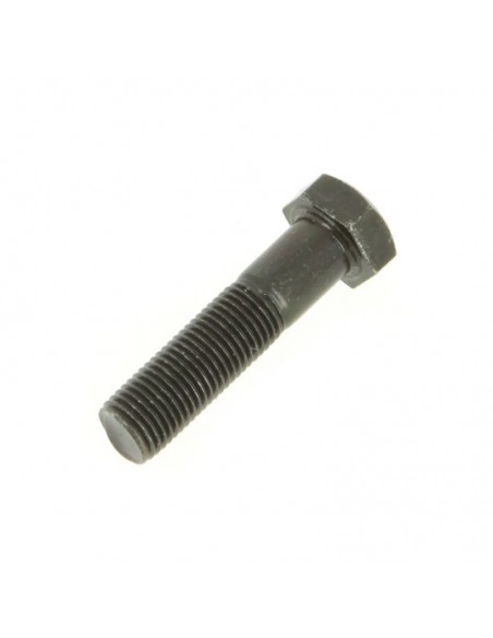 Vis de lame pas à gauche Ø 9,5 mm. Pour Castelgarden