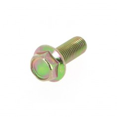 Vis de lame pour Honda 10 x 25 mm. Pas de 125.