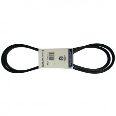 COURROIE    594978001