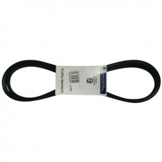 COURROIE    594977801