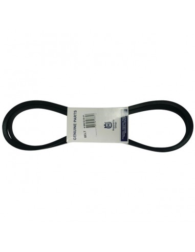 COURROIE    594977801