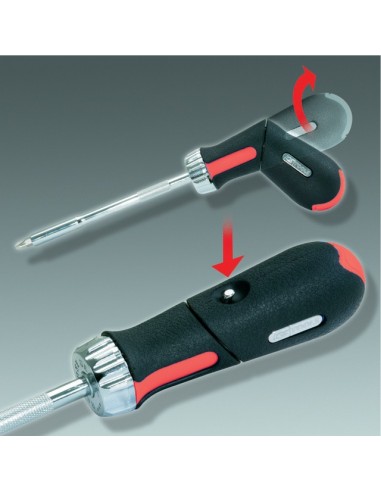 TOURNEVIS A POIGNEE REVOLVER À CLIQUET GEARplus AVEC 6 EMBOUTS