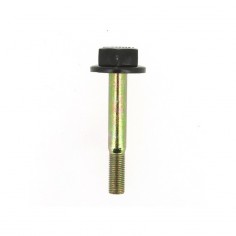 Vis de lame Ø 8,7 mm. Longueur 63 mm. Pour Castel Garden n° origine 81004353/1