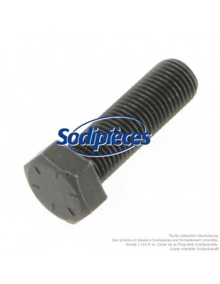 Vis de lame Ø 9,5 mm. Longueur 32 mm. Pour AYP, Noma, Stiga.