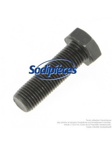 Vis de lame Ø 9,5 mm. Longueur 32 mm. Pour AYP, Noma, Stiga.