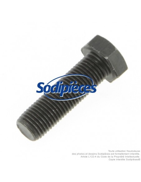 Vis de lame Ø 9,5 mm. Longueur 32 mm. Pour AYP, Noma, Stiga.