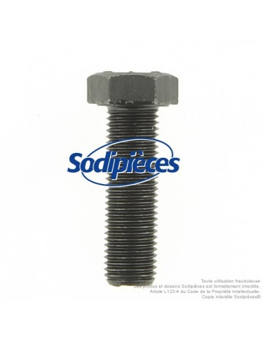 Vis de lame Ø 9,5 mm. Longueur 32 mm. Pour AYP, Noma, Stiga.