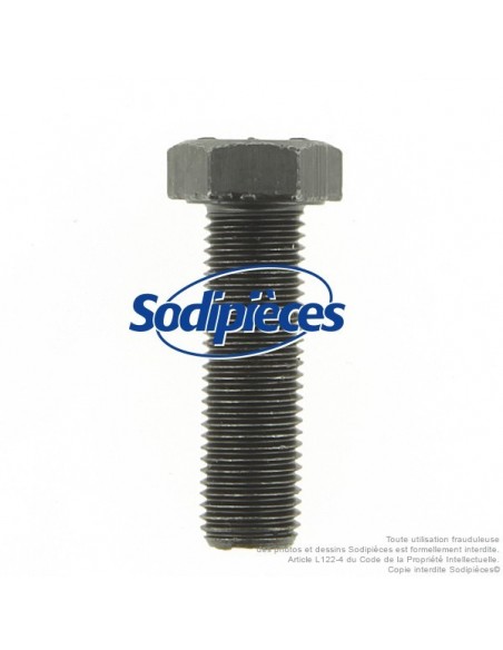 Vis de lame Ø 9,5 mm. Longueur 32 mm. Pour AYP, Noma, Stiga.