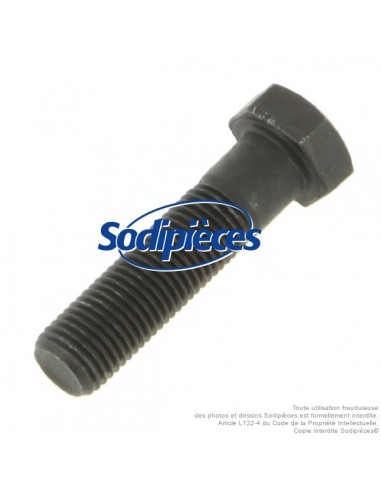 Vis de lame Ø 9,5 mm. Longueur 38 mm. Pour Castelgarden, MTD, Noma, Stiga.