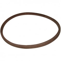 COURROIE EMBRAYAGE DE LAME PINTO 7540494  MTD