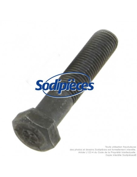 Vis de lame Ø 9,5 mm. Longueur 45 mm. Pour Castelgarden, Noma, Stiga N° 181646, 997-5245-12