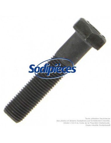 Vis de lame Ø 9,5 mm. Longueur 45 mm. Pour Castelgarden, Noma, Stiga N° 181646, 997-5245-12