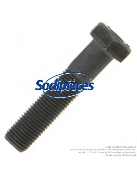 Vis de lame Ø 9,5 mm. Longueur 45 mm. Pour Castelgarden, Noma, Stiga N° 181646, 997-5245-12