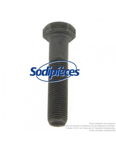 Vis de lame Ø 9,5 mm. Longueur 45 mm. Pour Castelgarden, Noma, Stiga N° 181646, 997-5245-12