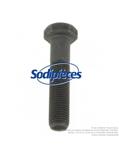 Vis de lame Ø 9,5 mm. Longueur 45 mm. Pour Castelgarden, Noma, Stiga N° 181646, 997-5245-12