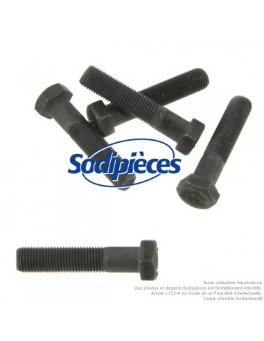 Vis de lame Ø 9,5 mm. Longueur 45 mm. Pour Castelgarden, Noma, Stiga N° 181646, 997-5245-12