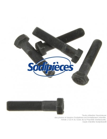 Vis de lame Ø 9,5 mm. Longueur 45 mm. Pour Castelgarden, Noma, Stiga N° 181646, 997-5245-12
