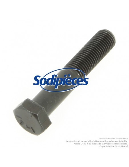 Vis de lame Ø 9,5 mm. Longueur 51 mm. Pour Castelgarden, Honda, Snapper, Stiga.