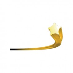 FIL DE DEBROUSSAILLEUSE STARLINE ETOILE Ø 3 2