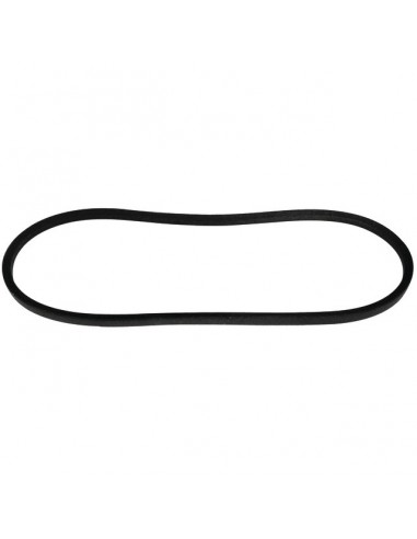 COURROIE ORIGINE PUBERT