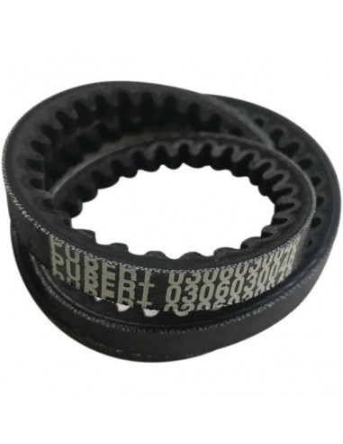 COURROIE CRANTEE DEBROUSSAILLEUSE FIRST ET XPLORER PUBERT