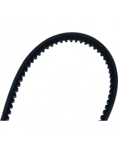 COURROIE CRANTEE DEBROUSSAILLEUSE XTREM12 PUBERT