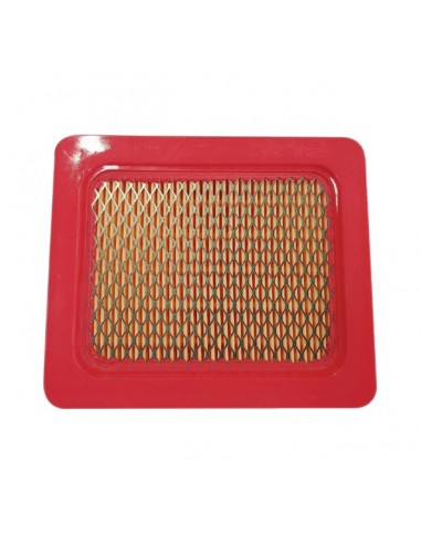 FILTRE A AIR ROBIN
