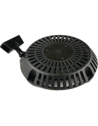 LANCEUR RESINE ROBIN