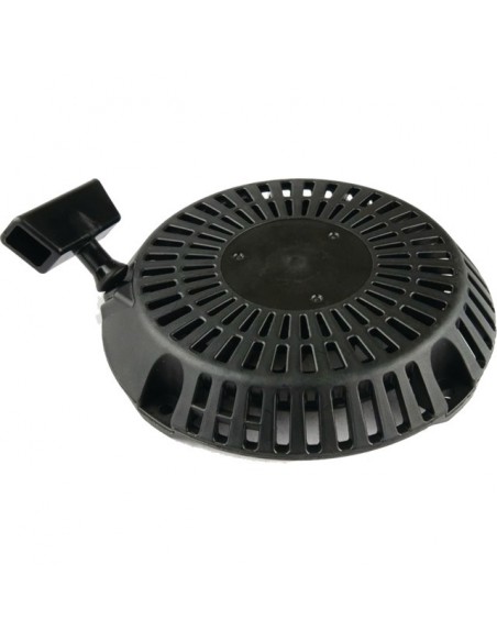 LANCEUR RESINE ROBIN