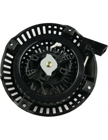 LANCEUR RESINE ROBIN