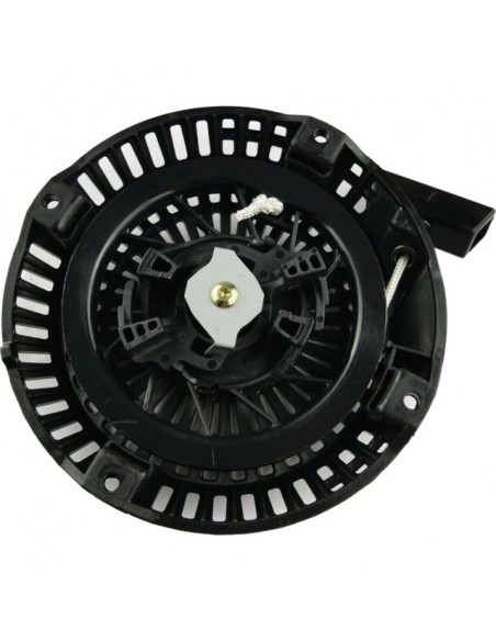 LANCEUR RESINE ROBIN