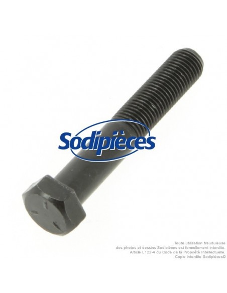 Vis de lame Ø 9,5 mm. Longueur 57 mm