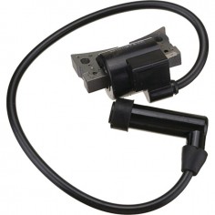 BOBINE D'ALLUMAGE ROBIN