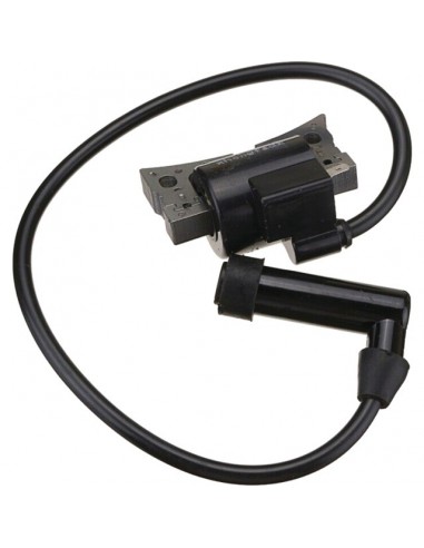 BOBINE D'ALLUMAGE ROBIN