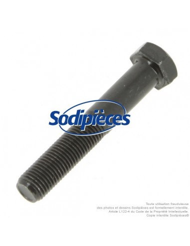 Vis de lame Ø 9,5 mm. Longueur 57 mm