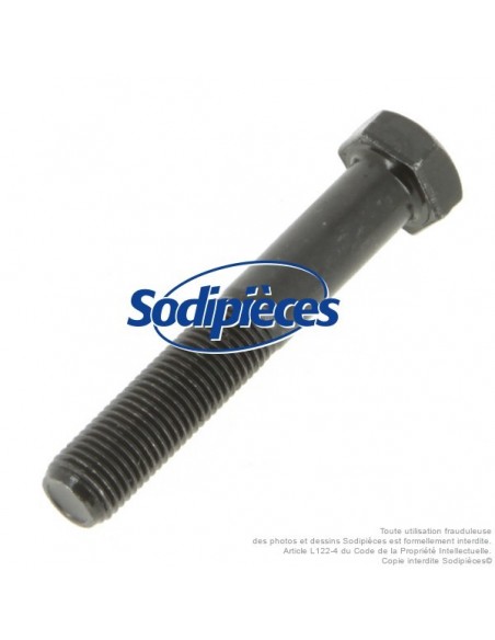 Vis de lame Ø 9,5 mm. Longueur 57 mm