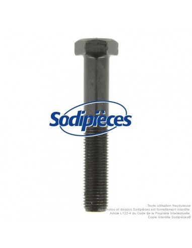 Vis de lame Ø 9,5 mm. Longueur 57 mm