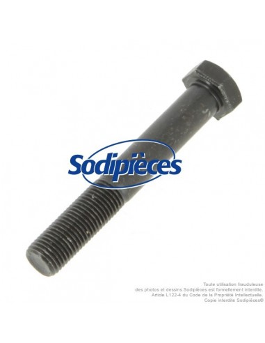 Vis de lame Ø 9,5 mm. Longueur 64 mm