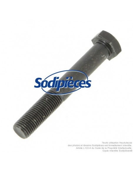 Vis de lame Ø 9,5 mm. Longueur 64 mm