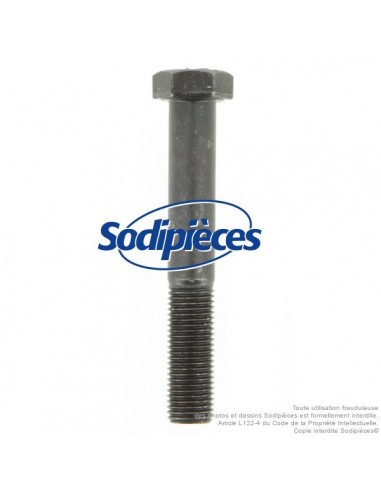 Vis de lame Ø 9,5 mm. Longueur 64 mm