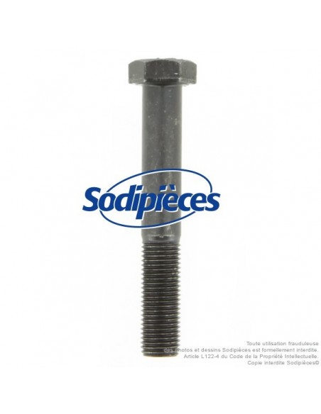 Vis de lame Ø 9,5 mm. Longueur 64 mm