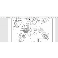 PISTON TRONCONNEUSE ACTIVE...